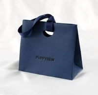 كيس بتصميم انيق