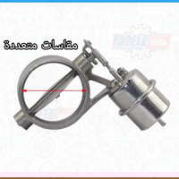 بوابة (سدة، كتاوت) إلكترونية للسيارات