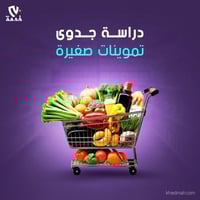 دراسة جدوى تموينات