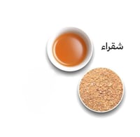 فاتح شقراء ( 1 )