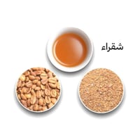 ربع الضيافة