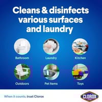 كلوركس بلاتينيوم – تركيبة متعددة الفوائد – 1.89 لت...