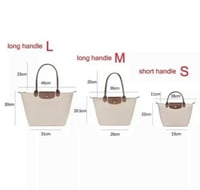 Longchamp Purple