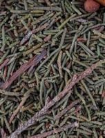 هدب الاثل - 250 جرام