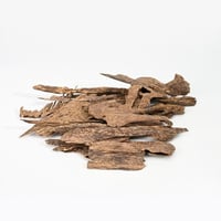 بونتيــــانك