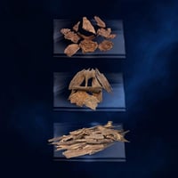 سيلاني + ماليزي + هندي