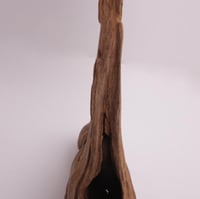 عود تحفة موروكي فاخر