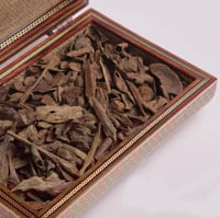 عود فلبيني ميني