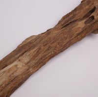 عود تحفة مالينو فاخر