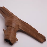 عود تحفة موروكي فاخر