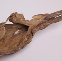 عود تحفة مالينو فاخر