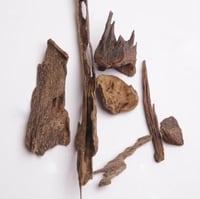 عود ترنقانو اندرووتر