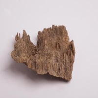 عود تحفة مالينو فاخر