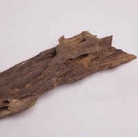 عود تحفة مالينو فاخر