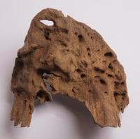 عود تحفة مالينو فاخر