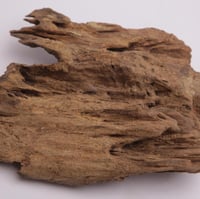 عود تحفة مالينو فاخر