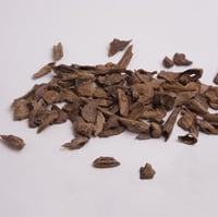 عود فلبيني ميني