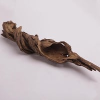 عود تحفة مالينو فاخر