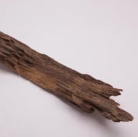 عود تحفة مالينو فاخر