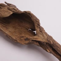 عود تحفة مالينو فاخر