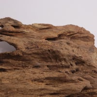 عود تحفة مالينو فاخر