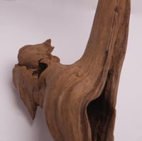 عود تحفة موروكي فاخر