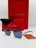 نظارة شمسية كارتير الاصدار الاخير
