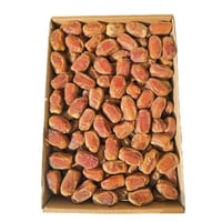 صقعي القصيم وزن 3.5 كيلو تقريبا