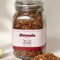 جرانولا شوكلاته داكنة حجم عائلي – 850 غرام