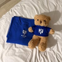 بوكس تيدي الانديه