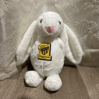 ارنوب الانديه