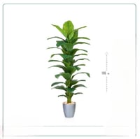 شجر صناعي سطل فضي 155 سم