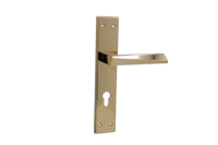 RGP