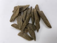 عود مروكي طبيعي