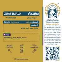 جواتيمالا - سيداد فيجي - مريم اسطرلاب 250 جرام