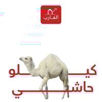 كيلو لحم حاشي