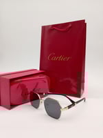 نظارة كارتير A166