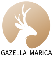 store avatar