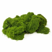 كيس عشب موس صناعي – خضارات ديكور