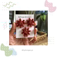 زهرة الشتاء