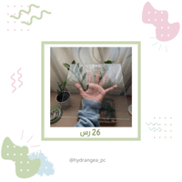 قطعة قزاز مربع "كبير"