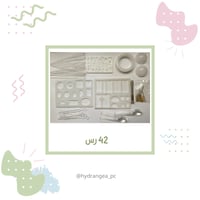 مجموعة الريزن