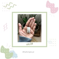 ختم ورقة شجر مخططه للعجائن