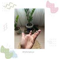 قطعة قزاز مربع "صغير"