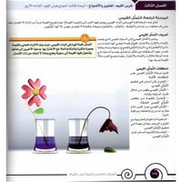 المرشد العملي للتربية على القيَم