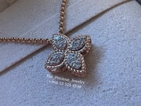 سلسلة روبرتو كوين