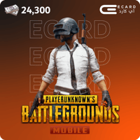 شدات ببجي 24300 شدة