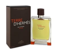 عطر هيرمس تيري دي هيرمس انتنس فيتفير او دو بارفيوم...