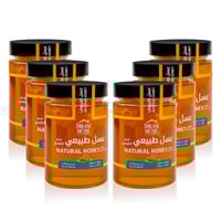 عسل طبيعي مع الشمع 3 كيلوا (6 عبوات 500 جم)