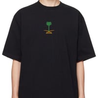 سيفين ونخلة